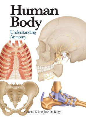 Human Body: Understanding Anatomy F012872 фото