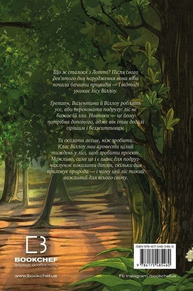 Дівчинка на ім'я Віллоу. Книга 3. Шелест крил Забіне Больман, Симона Чиккареллі F015597 фото