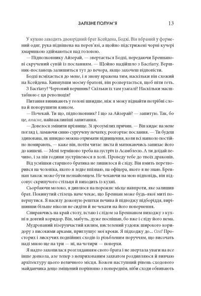 Залізне полум&rsquo;я (подарункова). Емпіреї. Книга 2 F012239 фото