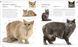 The Cat Encyclopedia F009915 фото 7
