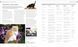 The Cat Encyclopedia F009915 фото 8
