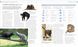The Cat Encyclopedia F009915 фото 6