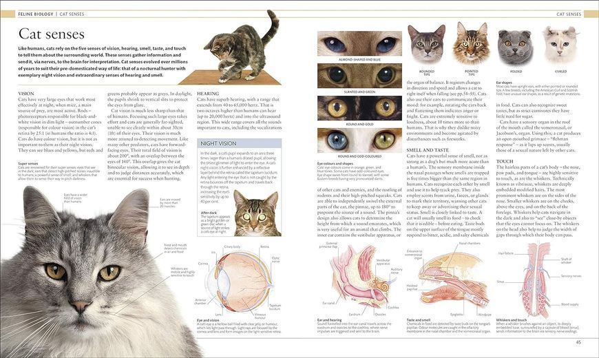 The Cat Encyclopedia F009915 фото