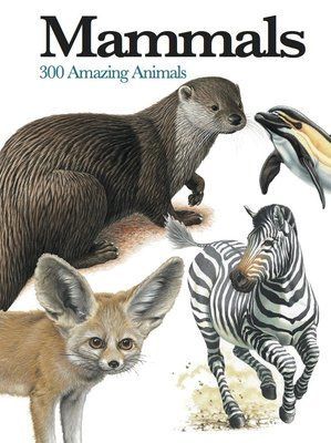 Mammals: 300 Amazing Animals F012873 фото