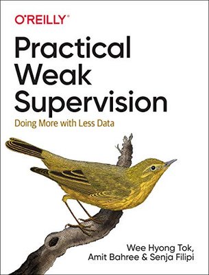 Practical Weak Supervision: Doing More with Less Data F003475 фото