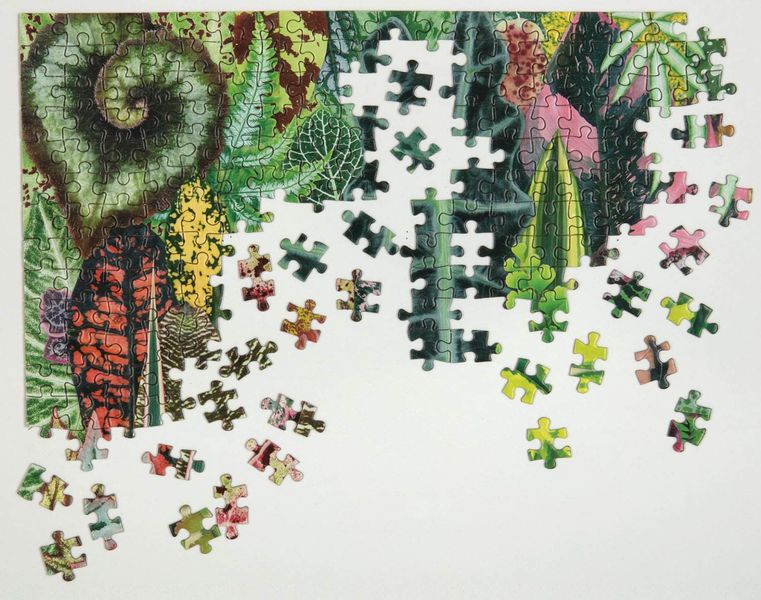 Houseplant Jungle 1000pc Puzzle F001603 фото