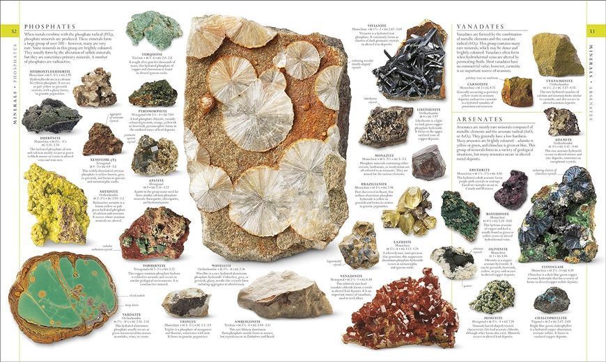 The Natural History Book. The Ultimate Visual Guide to Everything on Earth F010071 фото