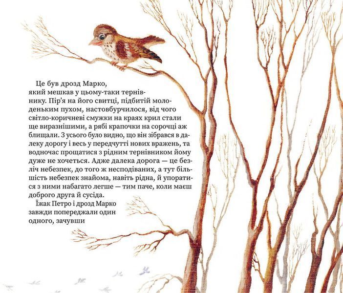 Третій сніг F004068 фото