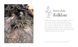 Fairies: A Celebration of Pixies, Sprites, Mermaids and Brownies F013983 фото 6