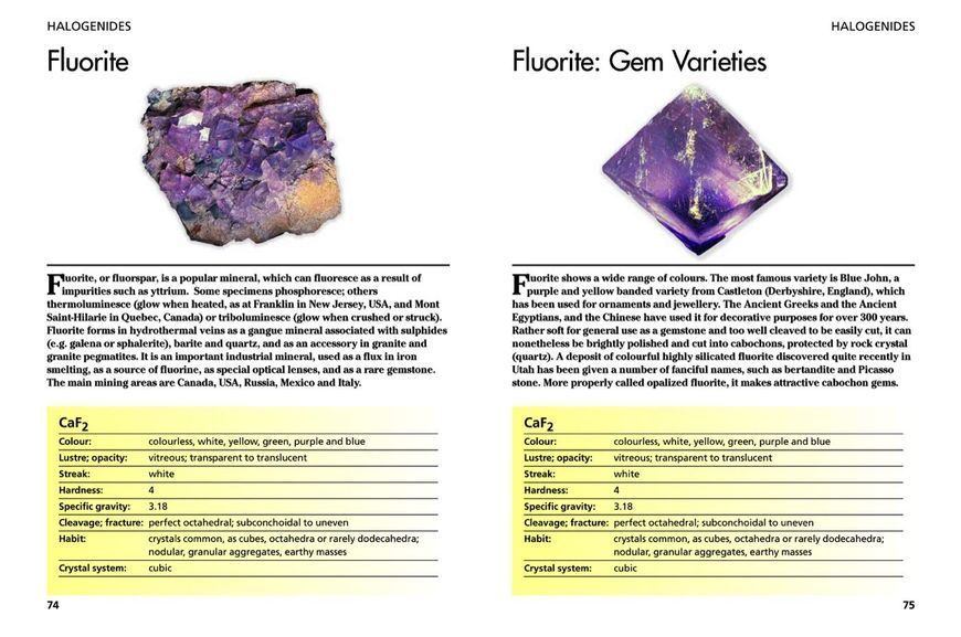 Minerals and Gemstones: 300 of the Earth's Natural Treasures F012874 фото