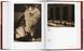 Alfred Stieglitz. Camera Work F000017 фото 2