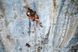 Cliffhanger. New Climbing Culture & Adventures F009544 фото 3
