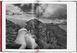 Sebastiao Salgado. Genesis F012675 фото 4