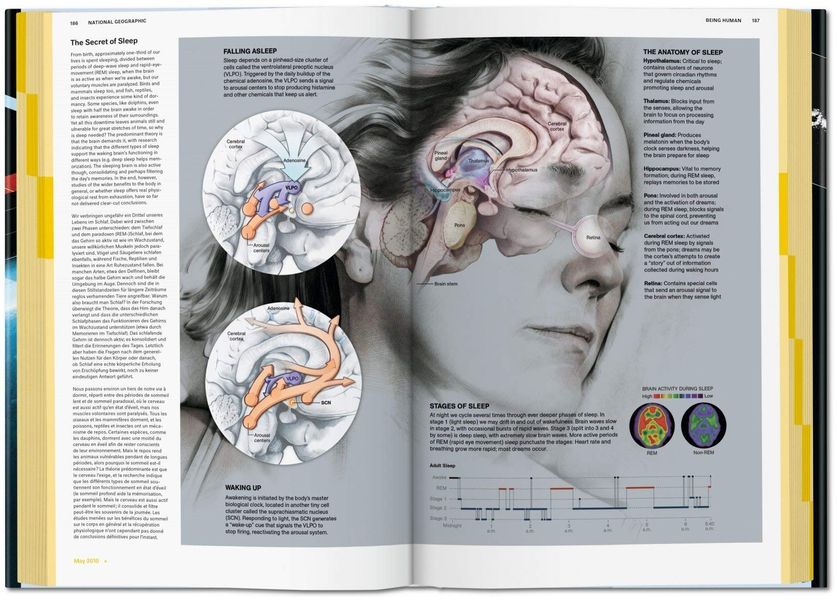 National Geographic Infographics F000164 фото