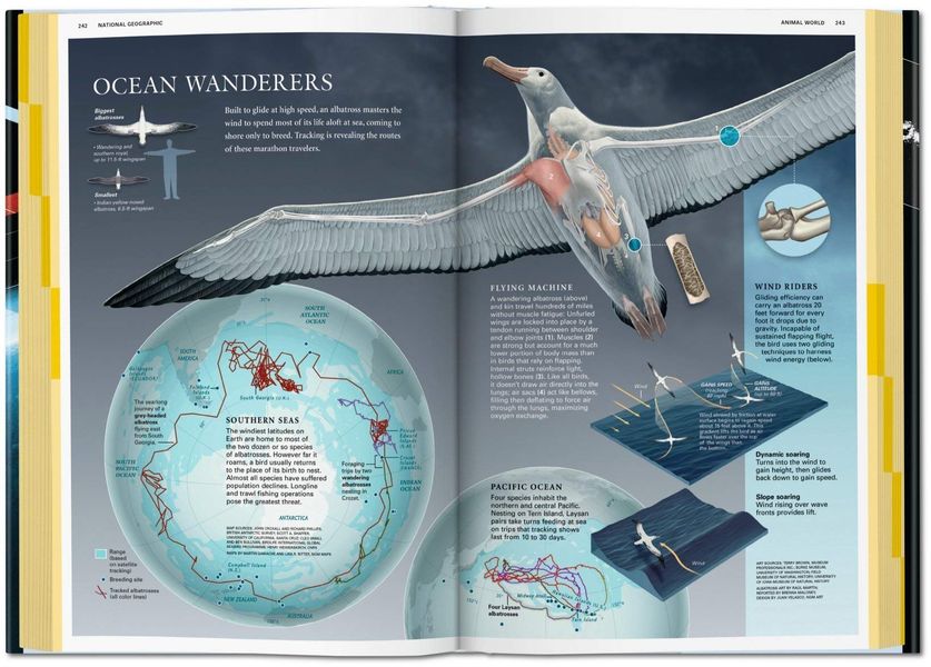 National Geographic Infographics F000164 фото