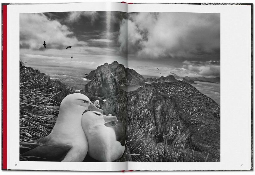 Sebastiao Salgado. Genesis F012675 фото