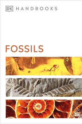 Fossils F011843 фото