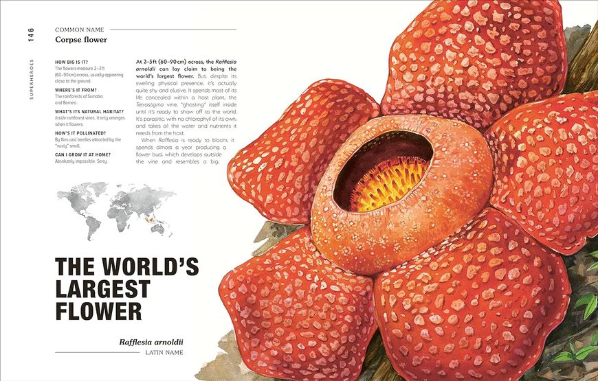 Hortus Curious. Discover the World's Most Weird and Wonderful Plants and Fungi F009341 фото