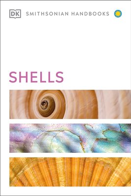Shells F011847 фото