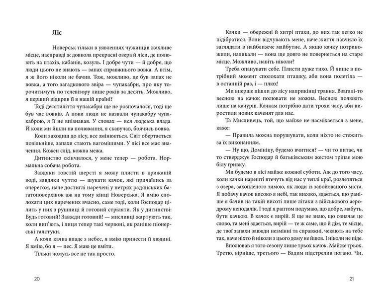 Дім для Дома F000383 фото