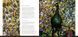 Louis Comfort Tiffany: Masterworks F001677 фото 3