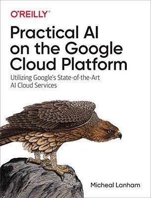 Practical AI on the Google Cloud Platform: Utilizing Google's State-of-the-Art AI Cloud Services F003466 фото