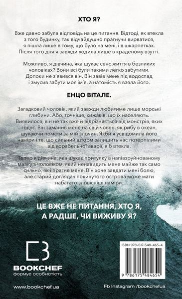 Комплект книг Г. Д. Карлтон (4 книги) Гра в кота і мишу   Книга 1. Переслідування Аделіни Книга 2. Полювання на Аделіну Книга 3. Де Моллі? Книга 4. Тобі боляче? F010335C4 фото