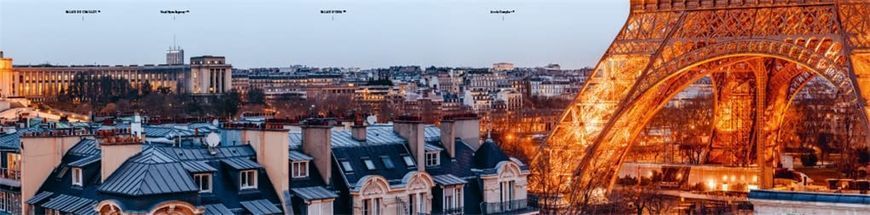 Rooftop Paris: A Panoramic View of the City of Light F013001 фото