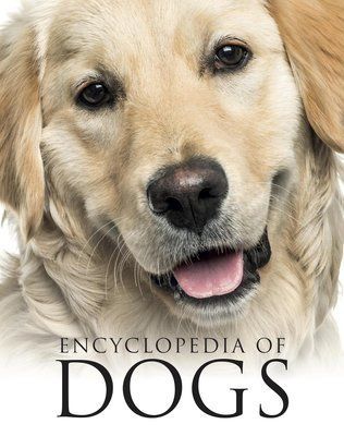 Encyclopedia of Dogs F013943 фото