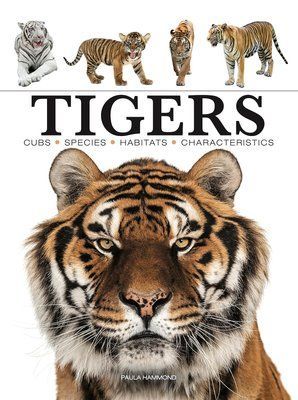 Tigers: Stunning Photographs of the World's Biggest Cats F012883 фото