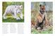 Tigers: Stunning Photographs of the World's Biggest Cats F012883 фото 4