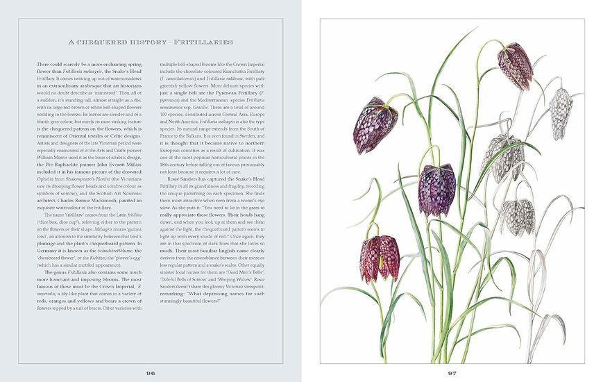 Rosie Sanders' Flowers. A Celebration Of Botanical Art F010399 фото