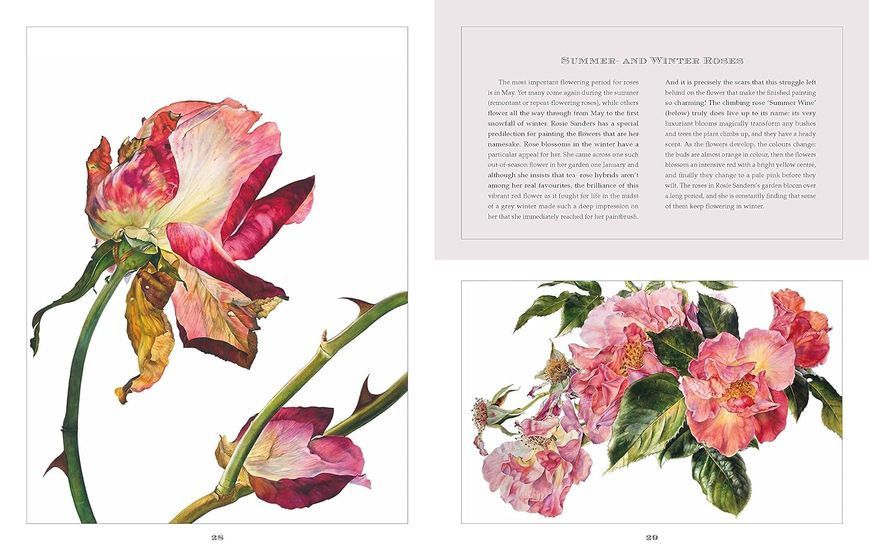 Rosie Sanders' Flowers. A Celebration Of Botanical Art F010399 фото