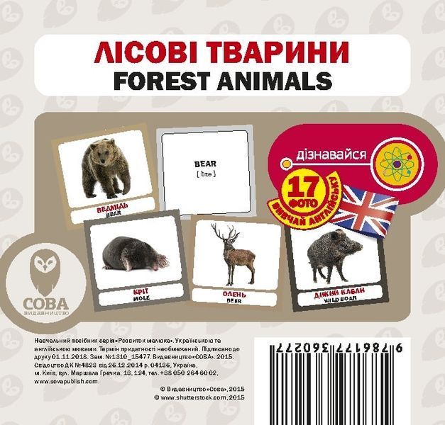 Комплект із 2-х книжок та 4-х наборів карток &laquo;Вчимо англійську. Тварини&raquo; F004407 фото