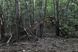 Chernobyl: A Stalkers' Guide F000944 фото 7