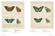 Iconotypes: A Compendium of Butterflies and Moths. Jones' Icones Complete F001031 фото 6