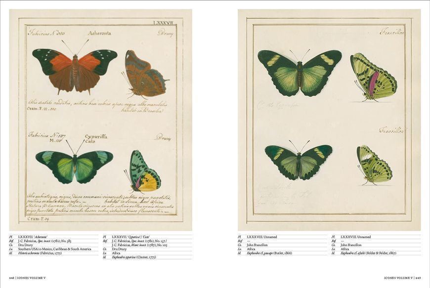 Iconotypes: A Compendium of Butterflies and Moths. Jones' Icones Complete F001031 фото