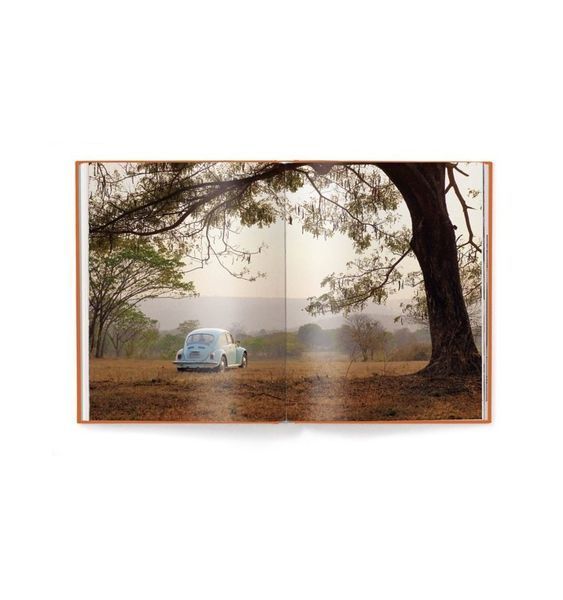 IconiCars. Volkswagen Beetle F009374 фото