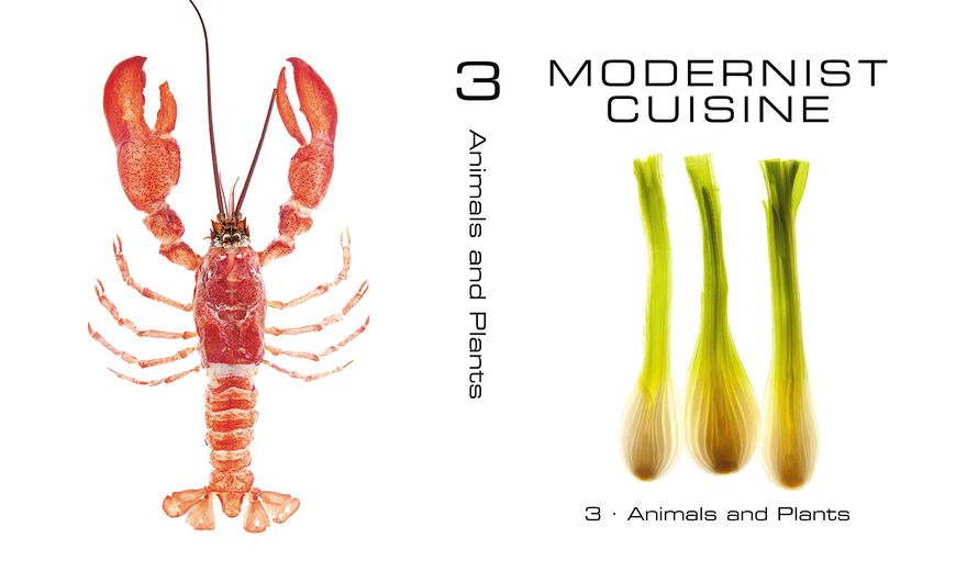Modernist Cuisine: The Art and Science of Cooking F001711 фото