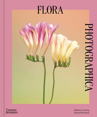 Flora Photographica. The Flower in Contemporary Photography F011240 фото