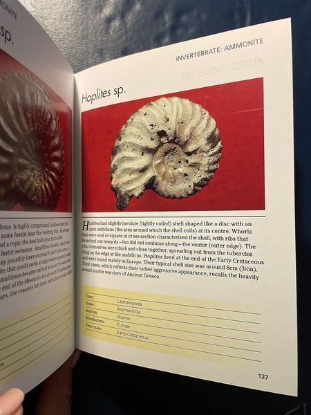 Fossils: 300 of the Earth's Fossilized Species F012736 фото