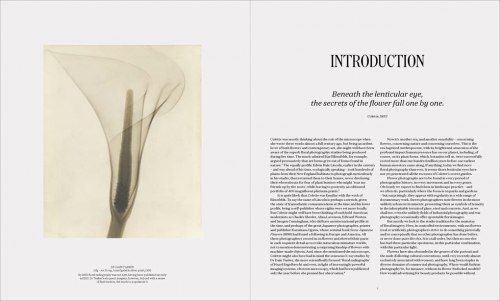 Flora Photographica. The Flower in Contemporary Photography F011240 фото