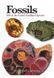 Fossils: 300 of the Earth's Fossilized Species F012736 фото 1