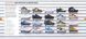 Sneakers: Complete Limited Edition Guide F003526 фото 2
