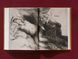 Rembrandt. The Complete Drawings and Etchings F000192 фото 12