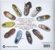 Sneakers: Complete Limited Edition Guide F003526 фото 14
