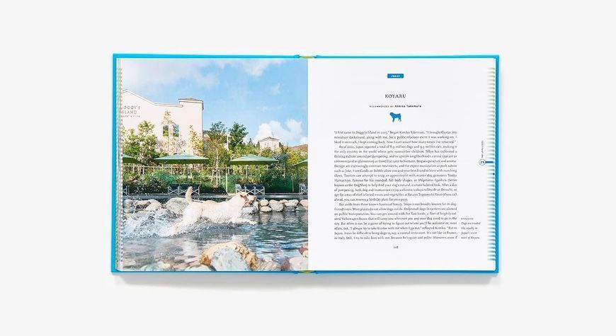 Fifty Places to Travel with Your Dog Before You Die: Dog Experts Share the World's Greatest Destinations F013897 фото