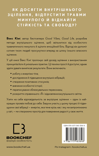 Healing Is the New High. Посібник із подолання емоційних потрясінь і здобуття свободи Векс Кінг F015081 фото