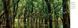 The Wild: The World's Most Spectacular Untamed Places F012738 фото 6