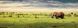 The Wild: The World's Most Spectacular Untamed Places F012738 фото 3